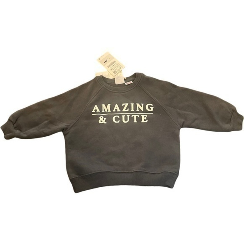 NWT kids sweatshirt Zara